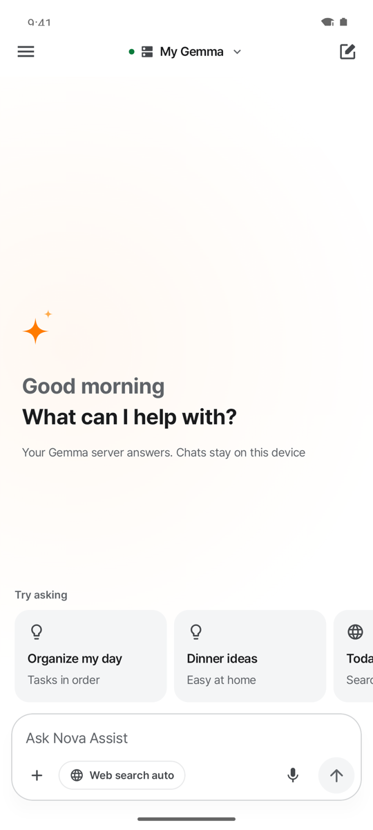 Home: greeting, suggestion cards, input with the web search chip